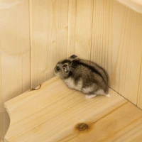 PawHut Hamsterkäfig aus Holz 5 Etagen Nagarium Nagerkäfig Kleintierkäfig mit Gitterdach Rampen, Holzkäfig Mäusekäfig groß Käfig für Hamster Zwerghamster 60 x 40 x 120 cm Naturholz(m-8)