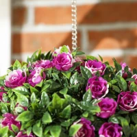 HOMCOM Set of 2 Decorative Artificial Plants, UV-protected Artificial Plant Topiary Rose Balls, Fake Plants for Home Indoor outdoor Decor, 28cm, Purple(m-9)
