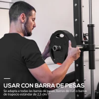 SPORTNOW Juego de Discos Pesas de 4 Piezas 2x5 kg 2x2,5 kg con Orificios de 2,5 cm para Entrenamiento Fitness en Hogar Negro(m-5)