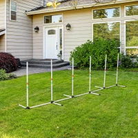 PawHut Set Agility Dog con 6 Pali in PE e Borsa di Trasporto Inclusa, Bianco(m-2)