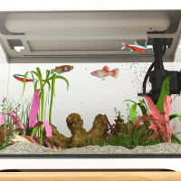 PawHut Aquarium, 17L Tropisch Vissenaquarium, Gemakkelijk te onderhouden, Heldere zichtbaarheid, met LED-verlichting, 35L x 21B x 31H cm, Wit+Zwart(m-8)