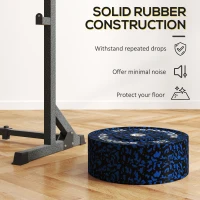 SPORTNOW Olympic Weight Plates with 5cm Holes, for Weight Lifting, 2 x 20KG(m-4)