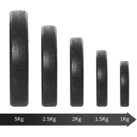 HOMCOM Set Manubri Palestra 30kg (8x2.5 kg, 4x1.5 kg), Pesi Palestra con 12 Dischi e 2 Manubri da 2 kg per Allenamento a Casa, Nero(m-8)
