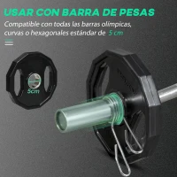 SPORTNOW Conjunto de 2 Discos de Pesas de 5 kg con Orificio de 5 cm para Entrenamiento de Fuerza  Ø24x3,5 cm Negro(m-5)