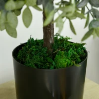 HOMCOM Juego de 2 Árboles de Té Artificiales 55 cm Planta Artificial con 343 Hojas Musgo y Maceta Oficina Verde(m-9)