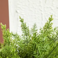 HOMCOM Pianta Finta Albero Cedro con Vaso Incluso per Interno ed Esterno, Altezza 55 cm, Verde(m-9)