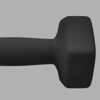 SPORTNOW Set 2 Manubri Esagonali da 2x5 kg in Metallo e Plastica con Impugnatura Antiscivolo, 20x9x9 cm, Nero(m-7)