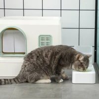 PawHut Lettiera Coperta per Gatti e Fontanella, Vassoio e paletta 50x40x40cm, Verde e Bianca(m-9)