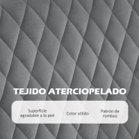 HOMCOM Sofá de 2 Plazas Tapizado en Terciopelo con 2 Almohadas Reposabrazos y Patas de Acero Carga 240 kg 124x69x76 cm Gris(m-4)