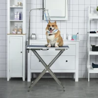 PawHut Mesa de Peluquería para Mascotas con Encimera Antideslizante Patas Plegables Asa y Brazo 72x45x74-81 cm Azul(m-9)