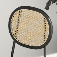 HOMCOM Pack de 2 Sillas de Comedor con Respaldo de Ratán Sintético y Marco de Acero para Salón 44x54x87 cm Rosa y Negro(m-9)