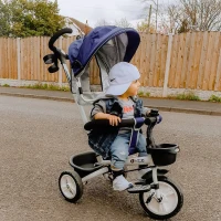 HOMCOM 4 in 1 Tricycle for Kids Toddler Folding Trike with Parent Handle Reversible Seat Adjustable Handle Removable Canopy Safety Belt for 18 Months to 5 Years Blue(m-10)