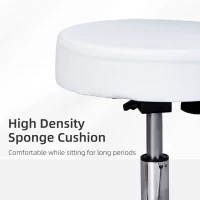 HOMCOM Massage Beauty Salon Spa Chair Stool Swivel Gas Lift Manicure Tattoo Stools Chair White(m-5)