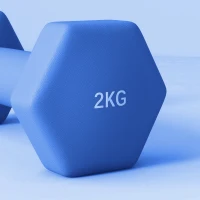 SPORTNOW 2 x 2kg Hexagonal Dumbbells Weights Set with Non-Slip Grip for Home Gym Workout, Blue(m-8)