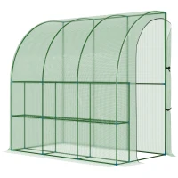 Outsunny Outdoor Walk-In Lean to Wall Tunnel Greenhouse with Zipped Roll Up Door PE Cover Green 214L x 120W x 215Hcm(m-1)