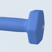 SPORTNOW 2 x 2kg Hexagonal Dumbbells Weights Set with Non-Slip Grip for Home Gym Workout, Blue(m-9)