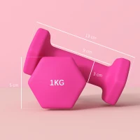 SPORTNOW Set 2 Manubri 2x1 kg Esagonali e Antiscivolo per Casa e Palestra, in Metallo e Plastica, 13x5x5 cm, Rosa(m-3)