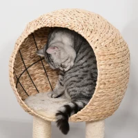 PawHut Arbre à chats style cosy chic griffoir sisal naturel grande niche plateformes jeu boule corde escalade peluche courte massette 48 x 40 x 100 cm beige(m-7)