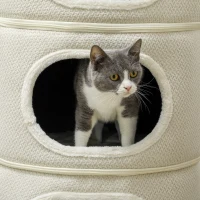 PawHut Katzenfass, 4 Ebenen, mit Kissen, Kratzmatte, Spielbällen, Katzenhaus für Innenbereich, Beige(m-8)