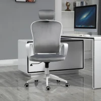 Vinsetto Office Chair, Ergonomic Desk Chair, High Back Velvet Fabric Computer Chair with Adjustable & Liftable Headrest for Home, Grey(m-2)