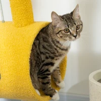 PawHut Rascador para Gatos con Forma de Cangrejo Túnel para Gatos con Orificio y Bolas de Muelle 40x29x72 cm Amarillo(m-9)