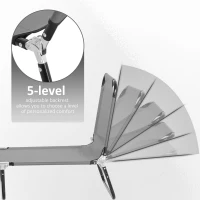 Outsunny Garden Sun Lounger, with Five-Position Back - Grey(m-4)