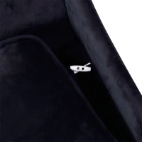 PawHut Dog Sofa Bed for XS-Sized Dogs, Pet Chair with Hidden Under Seat Storage, Cat Sofa Lounge with Removable Soft Cushion, Thick Sponge, Wooden Frame(m-8)