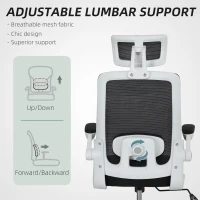 HOMCOM Multi-Adjust Office Chair - Black(m-5)