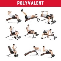 HOMCOM Banc de musculation pliable inclinable réglable sangles élastiques support haltères inclus acier noir rouge + Ensemble d'haltères Courtes Total 20 Kg acier HDPE noir(m-4)