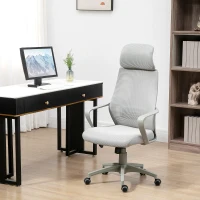 Vinsetto Ergonomic Office Chair, High Back Computer Chair, Mesh Desk Chair with Lumbar Support, Headrest, Wheel, Adjustable Height, Grey(m-2)