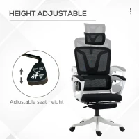 Vinsetto Ergonomic Office Chair, High Back Desk Chair, Reclining Mesh Computer Chair with Adjustable Headrest, Lumbar Support, Foot Rest, Swivel Wheels, Adjustable Height, Black(m-8)