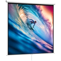 HOMCOM Schermo per Proiettore 120" Formato 1:1, Angolo di 160° e Montaggio a Soffitto o Parete(m-10)