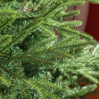 HOMCOM Weihnachtsbaum 150 cm, realistisches Aussehen, Schnellaufbau, inkl. Ständer, feuersicherer Kunststoff(m-9)