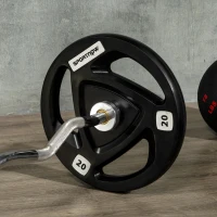 SPORTNOW Set di 2 Dischi Pesi da 20kg in Acciaio con Rivestimento in Gomma per Bilanciere(m-7)