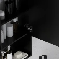 kleankin Armadietto Bagno con Specchio, Ripiani e Scaffale Regolabile, Montaggio a Parete, 60x15x76cm, Nero(m-7)