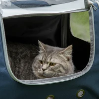 PawHut Sac à dos trolley de transport pour chat chariot panier à roulette sac à main 2 en 1 pour chien chat avec roulettes et poignée télescopique - gris(m-8)