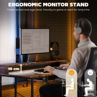 HOMCOM Computer Desk with LED Lights and Power Outlets, 120 x 55 cm Gaming Desk with Monitor Stand, Sliding Keyboard Tray and Storage Shelves for Home Office, Rustic Brown(m-6)