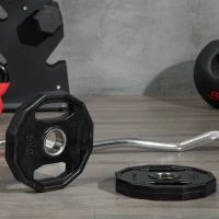 SPORTNOW Conjunto de 2 Discos de Pesas de 5 kg con Orificio de 5 cm para Entrenamiento de Fuerza  Ø24x3,5 cm Negro(m-9)