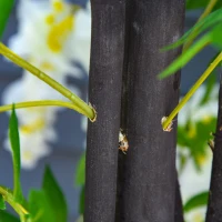 Outsunny Künstliche Glyzinien groß 165cm Kunstpflanze, Plastik Künstliche Pflanzen Kunstblumen im Topf, Fake Plant wie echt für Büro Wohnzimmer Schlafzimmer Moderne Dekoration Geschenk(m-7)