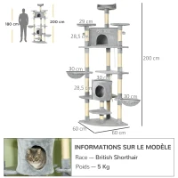 PawHut Arbre à chat XXL arbre à grimper pour chat multi-équipements griffoirs 6 plate-formes 2 niches hauteur 200 cm gris(m-3)