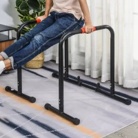 HOMCOM Multifunctional Dip Stand Station Bars Parallel Stand Push Up Parallette Adjustable Stable Home Gym Fitness Exercise Work Out(m-10)