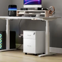 HOMCOM Two Drawer Lockable Filing Cabinet - White Wood Grain(m-9)