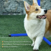 PawHut Agility Set Hunde 4-teiliges höhenverstellbar Agility-Ausrüstung Sprungstangen-Set Steckhürdenset mit 4 Hürden Tragetasche Koordinationstraining Sprungstangen-Set für Spiele Training(m-6)