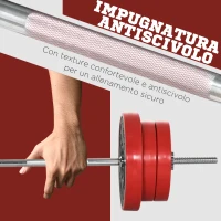 HOMCOM Set Bilanciere e Dischi 65kg totali per Workout in Casa, in Metallo, Sabbia di Ferro e Gomma, Rosso(m-6)