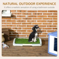 PawHut Puppy Training Pad, Indoor Portable Puppy Pad, with Artificial Grass, Grid, Panel, Tray, 63 x 48.5cm(m-4)