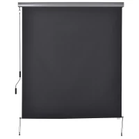 Outsunny Senkrechtmarkise Balkonmarkise Vertikalmarkise Windschutz Seitenrollo Sichtschutz mit Handkurbel Polyesterstoff+Aluminium Dunkelgrau 250 x 160 cm(m-10)