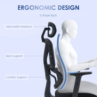 Vinsetto Mesh Office Chair, Height Adjustable Desk Chair with Lumbar Support, Swivel Wheels and Adjustable Headrest, Black(m-4)
