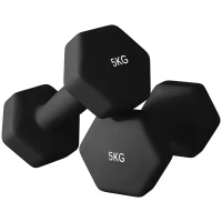 SPORTNOW Set 2 Manubri Esagonali da 2x5 kg in Metallo e Plastica con Impugnatura Antiscivolo, 20x9x9 cm, Nero(m-10)