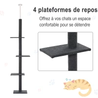 PawHut Arbre à chat poteau à griffer hauteur réglable dim. 43L x 27I x 228-260H cm 4 niveaux d'activités gris(m-7)
