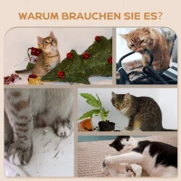 PawHut 3-teiliges Katzenkletter-Set, wandmontierter Katzenbaum mit Kratzpfosten, Stufe, Leiter, Naturholz(m-6)